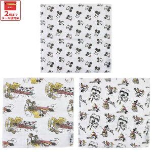 [`12317܂ P20{]XP[^[  n ӂ 3 Zbg 30×30cm@~bL[}EX@ᒠD ₨ z LN^[ 䏊 pi ObY Lb` ^I y@ H@ H