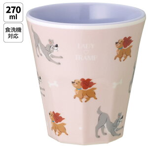 [`12317܂ P20{]XP[^[ ~Jbv LN^[ ~Rbv ~ q ɂ Rbv skater MTB2 fBgv 񕨌 fBYj[yH@Ή Jbv