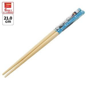 [`12317܂ P20{]# XP[^[  q | 21cm 킢 v[g IV  LbY LN^[ skater ANT4J TRi Lbh ObYywZ v[g v`Mtg 