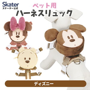 [`1118 P15{]U bN n[lX ^p ybg  U  XP[^[ skater PRYU1 fBYj[ Disney j̎q ̎qył 킢 񂿂 ʁz