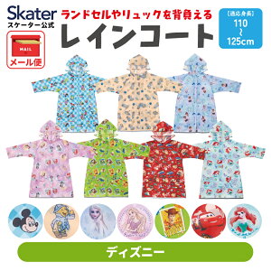 [123`11 P20{]CR[g LbY q qǂ hZΉ w ʊw bNΉ XP[^[ skater RACO1M fBYj[yh Jbp H J JHz