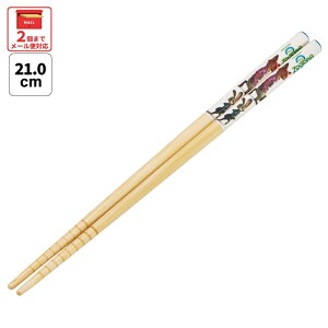 [`12317܂ P20{]# XP[^[  | 21cm H@Ή q 킢 v[g  LbY ObY skater ANT4C Y[gsA2 jbN WfB QC[ fBYj[ywZ L