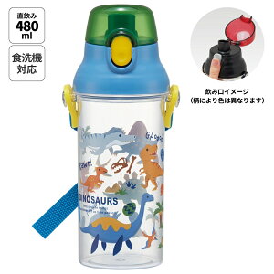 XP[^[  LbY ^b` vX`bN   NA {g 480ml skater PSB5TR fBmTEX 2026  _Ci\[ j̎q jqyLN^[ q  vbV _C