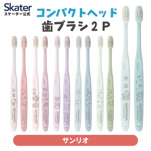 [`1118 P20{]uV 2{ Zbg ӂ RpNgwbh  TI XP[^[ TBN1WyWA  X΃lbN l w Z LN^[ ͂Ԃ炵 nuV ₷ q