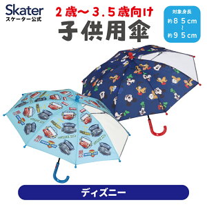 [`12317܂ P20{]q P 35cm J t 2 3 ct ʉ  킢 qǂ LbY XP[^[ UB0 fBYj[ j̎q ̎qyLN^[ qp a v[g