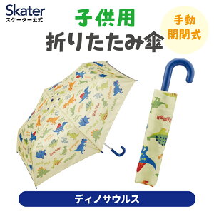 [`1118 P20{]܂肽ݎP LbY P y J qp c LN^[ skater XP[^[ UBOT1 fBmTEX yOXt@Co[ RpNg  蓮  P[X SJo