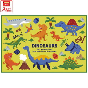  XP[^[ W[V[g sNjbNV[g q  RpNg lp ǂ  skater VS1 fBmTEX 2026  _Ci\[ j̎q jqyy LN^[ ObY rj[ h