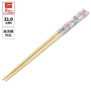 [1212`116 P20{]# XP[^[  q | 21cm 킢 v[g IV  LbY LN^[ skater ANT4J ƂȂ̃gg ؂̕ totoro X^WIWu ywZ v[