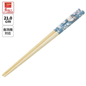 [1212`116 P20{]# XP[^[  q | 21cm 킢 v[g IV  LbY LN^[ skater ANT4J ƂȂ̃gg u[ totoro X^WIWu ywZ v[