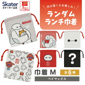 [5��22���`6��15�� P10�{]�X�P�[�^�[ �L�����N�^�[ �~�X�e���[�{�b�N�X�В� �P�i M�T�C�Y KBB21 skater �x�C�}�b�N�X �f�B�Y�j�[ Disney �j�̎q ���̎q�y�u���C���h �����`�В� �����_�� ���y���� ��