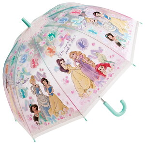 [5��22���`6��15�� P20�{]�X�P�[�^�[ �h�[���^ �r�j�[���P �P �q���p �L�b�Y 55cm �O���X�t�@�C�o�[ ���� �����^�b�` skater UBVD55 �f�B�Y�j�[ �v�����Z�X 26�N ���̎q ���q�y�J�P �W�����v�P �W����