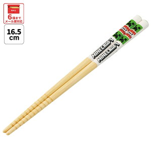 [4��1���`4��20�� P20�{]�X�P�[�^�[ ���� �q�� ���킢�� �q�ǂ� �� �q���p �|�� �c�t�� �ۈ牀 �L�����N�^�[ �͂� skater ANT2 �}�C���N���t�g 26�N �}�C�N�� Minecraft �j�q ���q�y���ׂ�Ȃ� �������