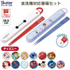 [7月23日〜8月17日 P20倍]スケーター お箸セット 食洗機対応 箸入れ カトラリー お弁当 箸 skater 子供 箸ケース ABS2AMAG ディズニー【カトラリーセット カトラリーケース 蓋付き おはしセット 食洗機対応】