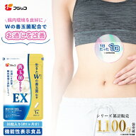 【公式】フジッコ 善玉菌のチカラEX【機能性表示食品】（1袋31粒入り/約1ヶ月分）1袋【送料無料】【乳酸…
