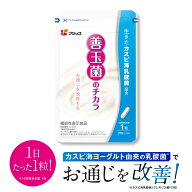 【公式】フジッコ 善玉菌のチカラ【機能性表示食品】（1袋31粒入り/約1ヶ月分）1袋【乳酸菌 サプリ 腸活 …