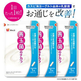 【公式】フジッコ 善玉菌のチカラ【機能性表示食品】（1袋31粒入り/約1ヶ月分）3袋セット【乳酸菌 サプリ 腸活 腸内フローラ お通じ サプリメント カスピ海ヨーグルト 乳酸菌】