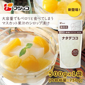 【公式】フジッコ 業務用国内産ナタデココ 500g×1セット【ナタデココ 国産 大容量 食物繊維 デザート フルーツポンチ ヨーグルト トッピング 常温保存 大容量パック】