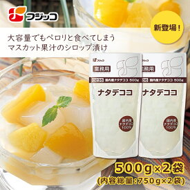 【公式】フジッコ 業務用国内産ナタデココ 500g×2セット【ナタデココ 国産 大容量 食物繊維 デザート フルーツポンチ ヨーグルト トッピング 常温保存 大容量パック】