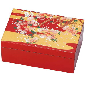 R Rh |v`ANZT[BOX 