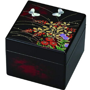 R Rh ANZT[P[X Pitj݂і