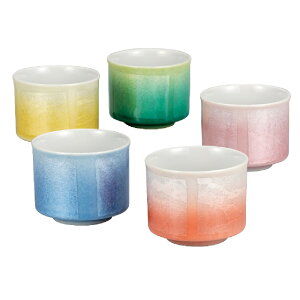 {̓`H|iyJāzgu ʁi5qj