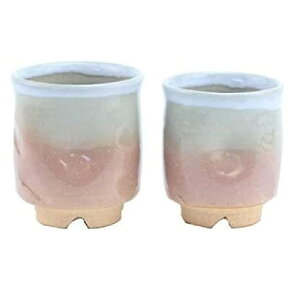 萩焼 服部天龍 面取夫婦湯呑