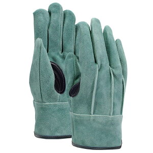 ӂ V v Aet ICH K-495/5oZbg̔