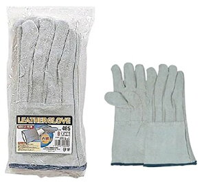 y10oZbg̔zӂ 485@ȏn5{w@v܁@t[TCY