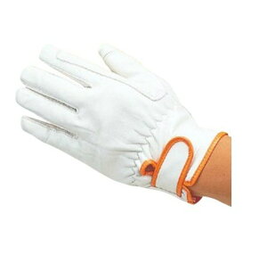 y10oZbg̔zӂ 424@vvt܁@}WbN@LTCY@v