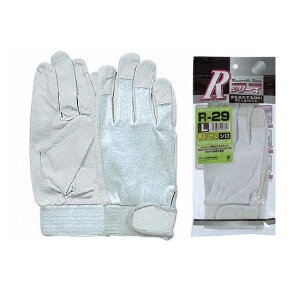 y10oZbg̔zӂ R-29 bX@}WbNt@@؊v