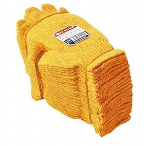 y10_[XZbg̔zӂ 611@iC@@یR@t[TCY@1_[X×10@120o