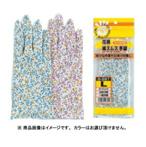 ӂ G-597@ԕȃXX܁@Xx~t@LTCY