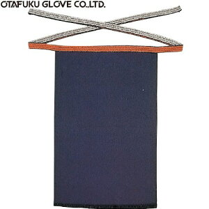 y5gZbg̔zӂ 6202@@O|@@TCY@46×70cm