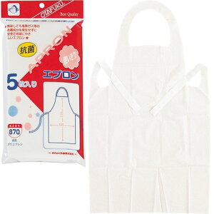 y5g5gZbg̔zӂ 870@Rۃ|G`Gv5@TCY@65×115cm