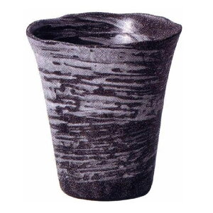 ݌Ï Ē&r[Jbv 480ml ()