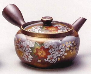 ݌Ï R }{ 2.0 g~`_ы}{ 300cc (T[N)