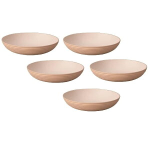 山中漆器 山中塗 レンジ対応 bitie(バイティー)サーフ深皿 (ベージュ)抗菌加工・家庭用電子レンジ・家庭用食洗機対応(5枚組)