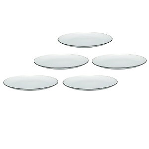 山中漆器 山中塗 レンジ対応 和洋平皿 ナチュール L( ホワイト)・家庭用電子レンジ・家庭用食洗機対応(5枚組)