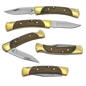 バックナイフ BUCK 055BRS ザ・55