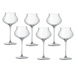 y6qgzArc International(VFt&\G)ChefandSommelier }Jt@bVl[V Vp[j30(300ml) VpOX