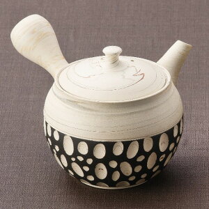 常滑焼 急須 憲児窯「白練込黒水玉」急須 220ml〈ささめ茶こし〉