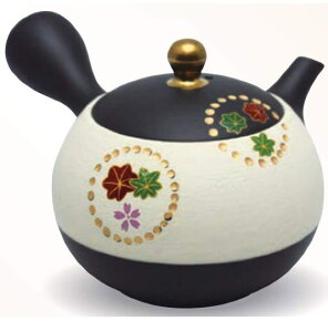 튊ā@}{@̍@GtH@240ml@(ZbV)