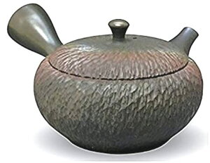 常滑焼 急須 玉光作 火窯変230ml (セラメッシュ茶こし)