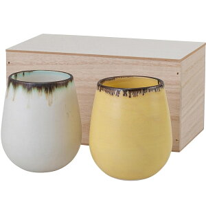 g melon CyA YE/WT (370ml)