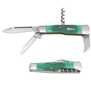 CASE (P[XiCt) 1198 o[e_[iCt
