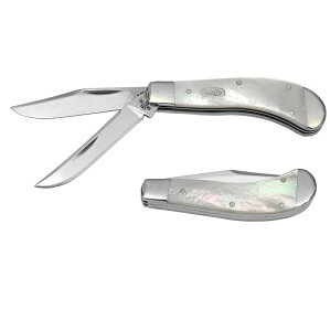 CASE (P[XiCt) 743 Thz[