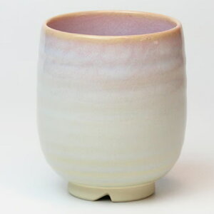  ֏Gq ڂݍہi270mlj