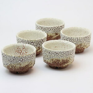  ֏Gq  r 炬ݏoi9.3×H6.3cmji240mlj×5q