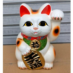 튊 ~ 8 tLij(摜Q)Ђ̗ɐ~̓hꂪ܂mF@(NAXi)