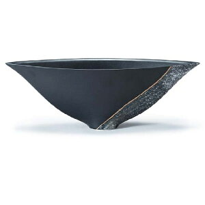 ݌Ï q { Ԋ kRV[Y (EkR-118)